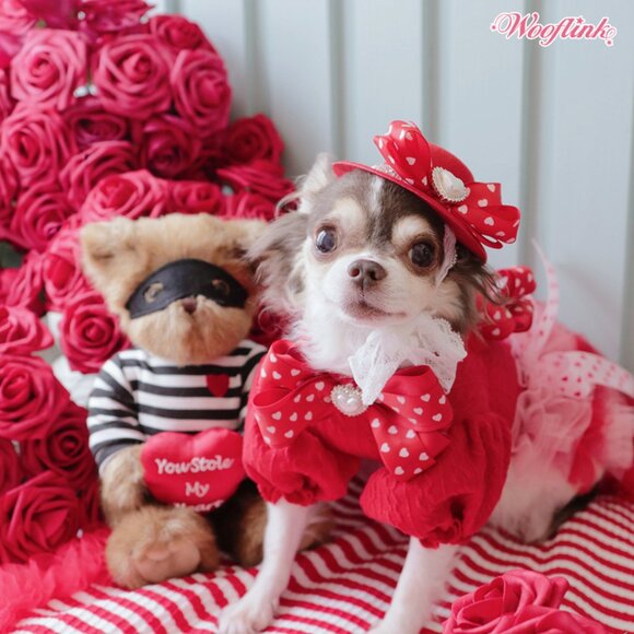 Someone Special Dress by Wooflink - NEW SIZE 3 - Picture 5 of 6